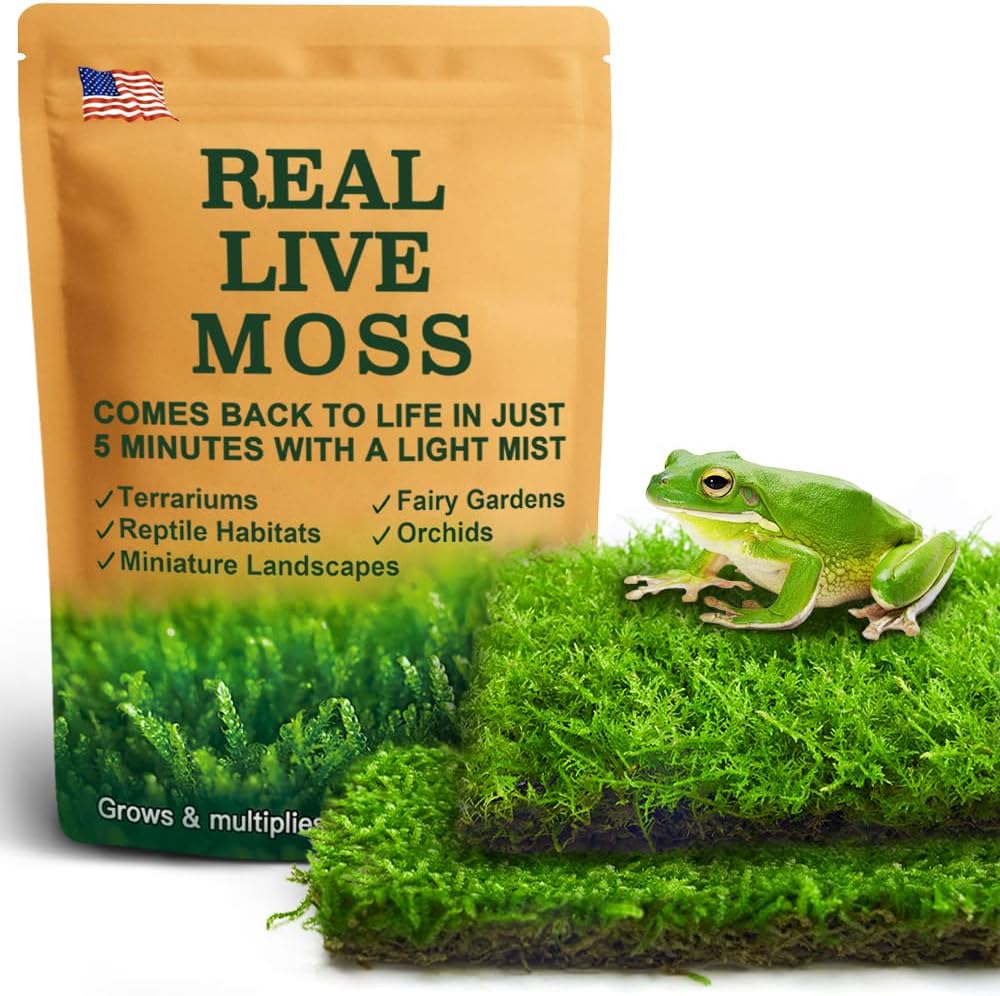 can snake plants live in moss Live Moss Duo Pack 2 Types of Real Live Sheet/Sphagnum Moss for Terrar –  Lucky Runes