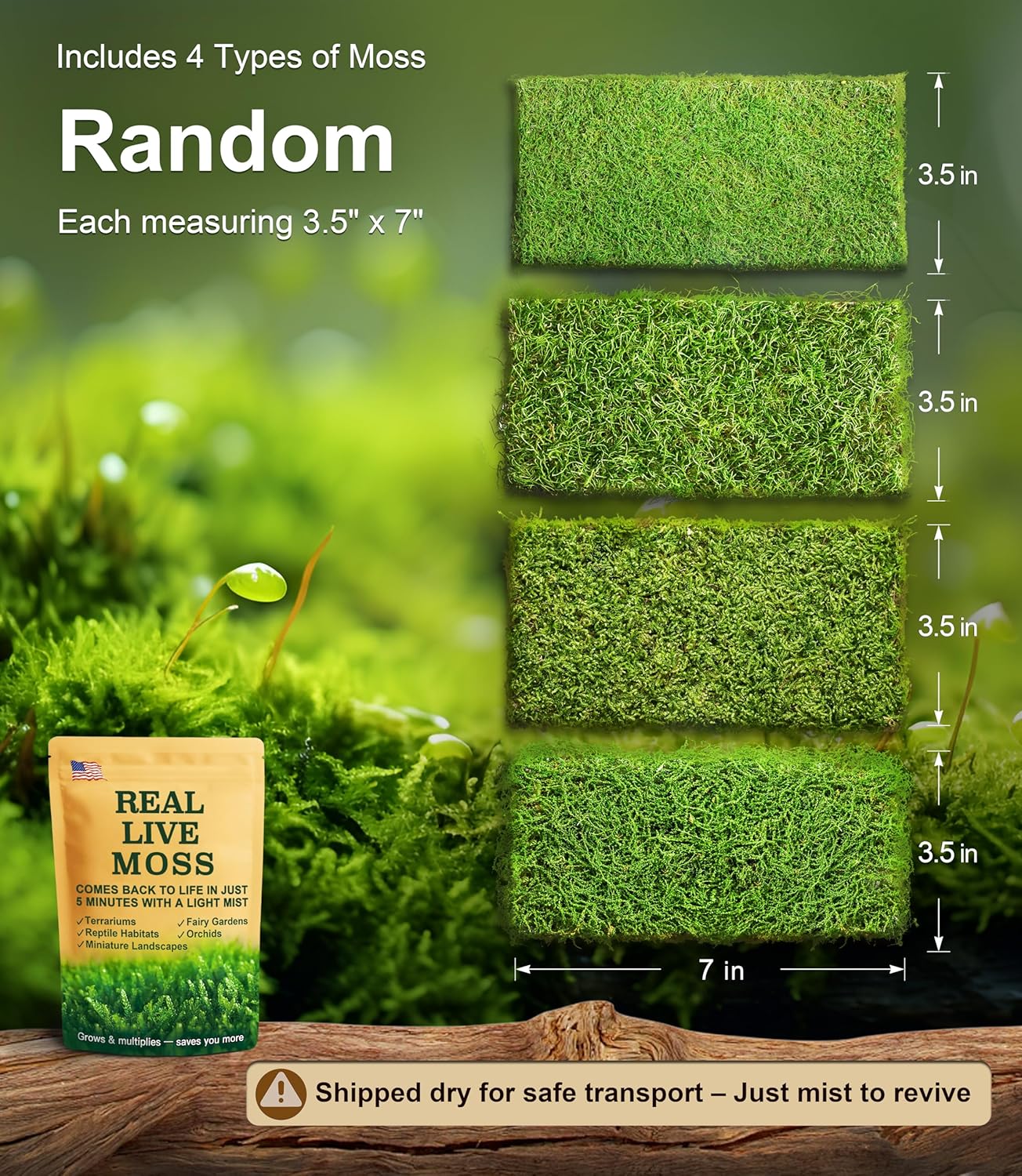 Live Moss 4-Pack (Each 3.5"x7") – Real Mixed Moss for Terrariums, Reptile Habitats, Fairy Gardens & Potted Plants – 4 Random Varieties, Easy to Revive, Natural Green Decor