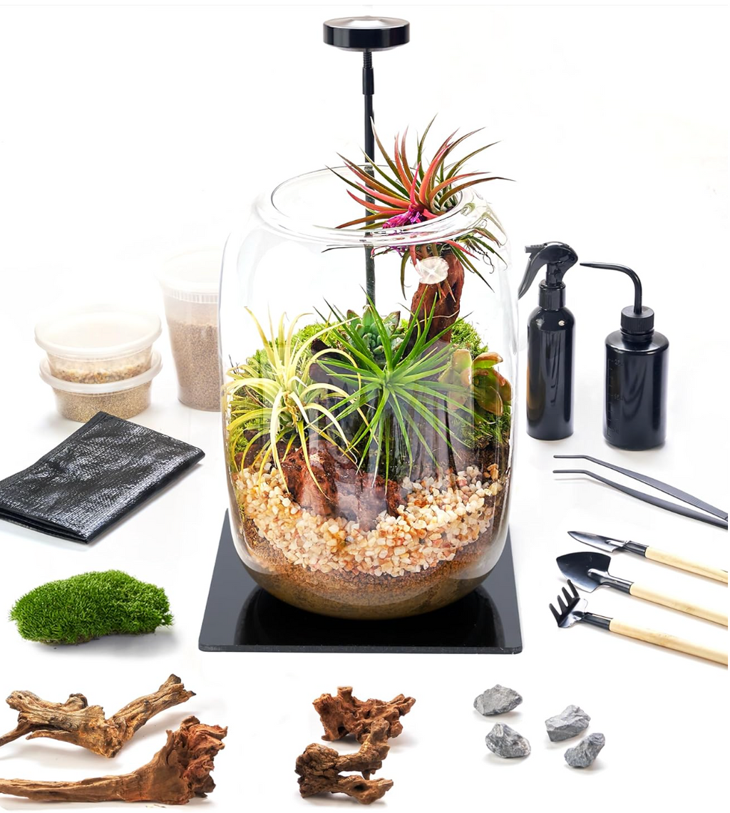 DIY Glass Terrarium Kit with Grow Light – 24Pcs Mini Indoor Gardening Set with Tools, Moss, Soil & Pebbles – Creative Plant Decor Gift for Desk & Home