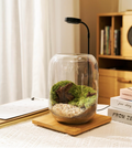 DIY Glass Terrarium Kit with Grow Light – 24Pcs Mini Indoor Gardening Set with Tools, Moss, Soil & Pebbles – Creative Plant Decor Gift for Desk & Home