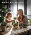 Terrarium Kit with Grow Light – 24-Piece DIY Glass Terrarium Set with Tools, Moss, Driftwood, Soil & Pebbles – Mini Gardening Kit for Air Plants, Succulents & Indoor Desk Decoration Gift