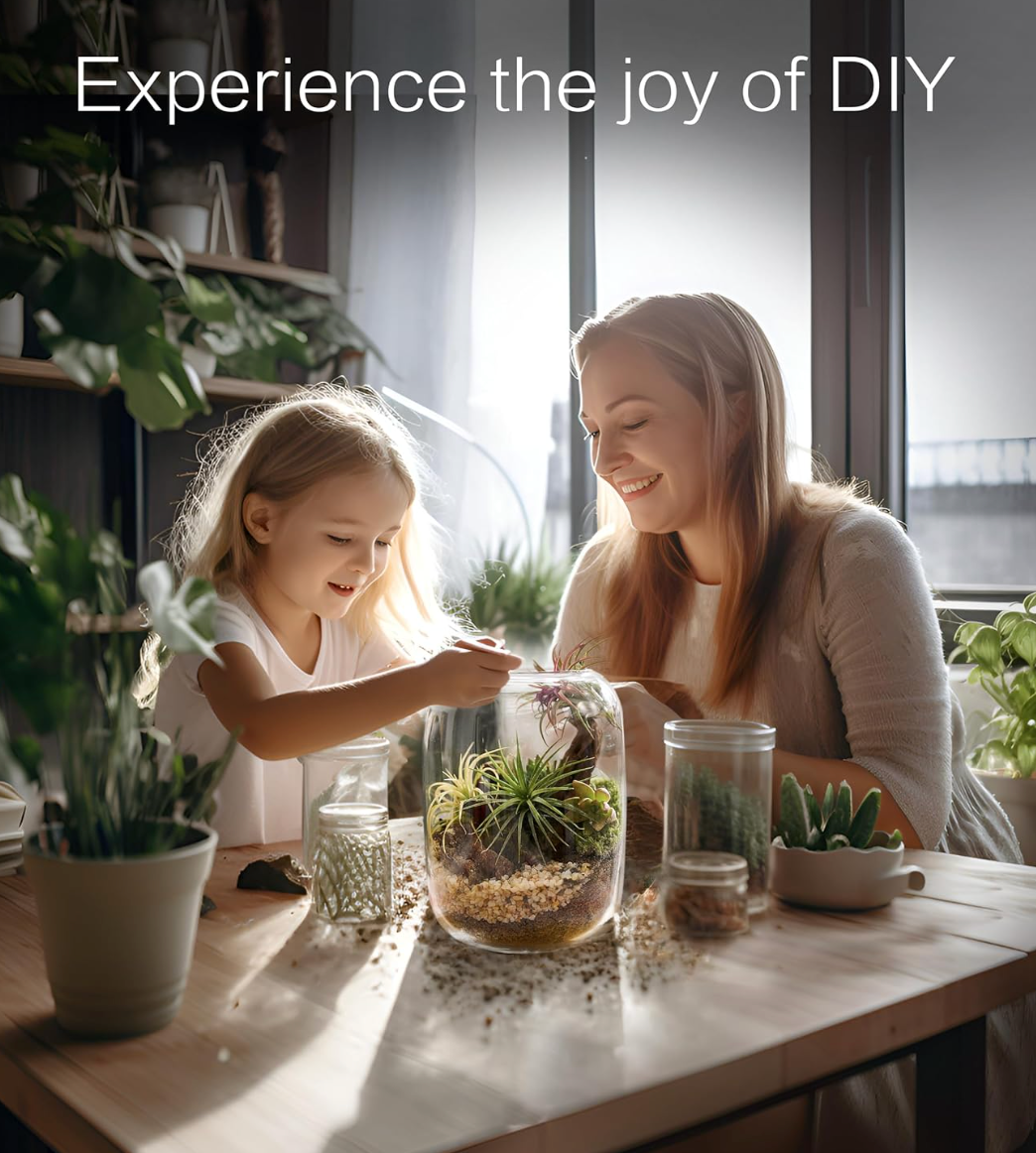 Terrarium Kit with Grow Light – 24-Piece DIY Glass Terrarium Set with Tools, Moss, Driftwood, Soil & Pebbles – Mini Gardening Kit for Air Plants, Succulents & Indoor Desk Decoration Gift