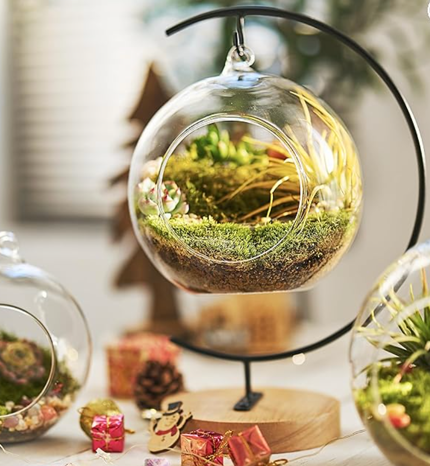 15-Piece Terrarium Kit with Live Moss – DIY Glass Globe Set with Tools, Soil, Stones & Spray Bottle – Indoor Mini Garden Gift for Plant Lovers, Home Decor & Zen Craft