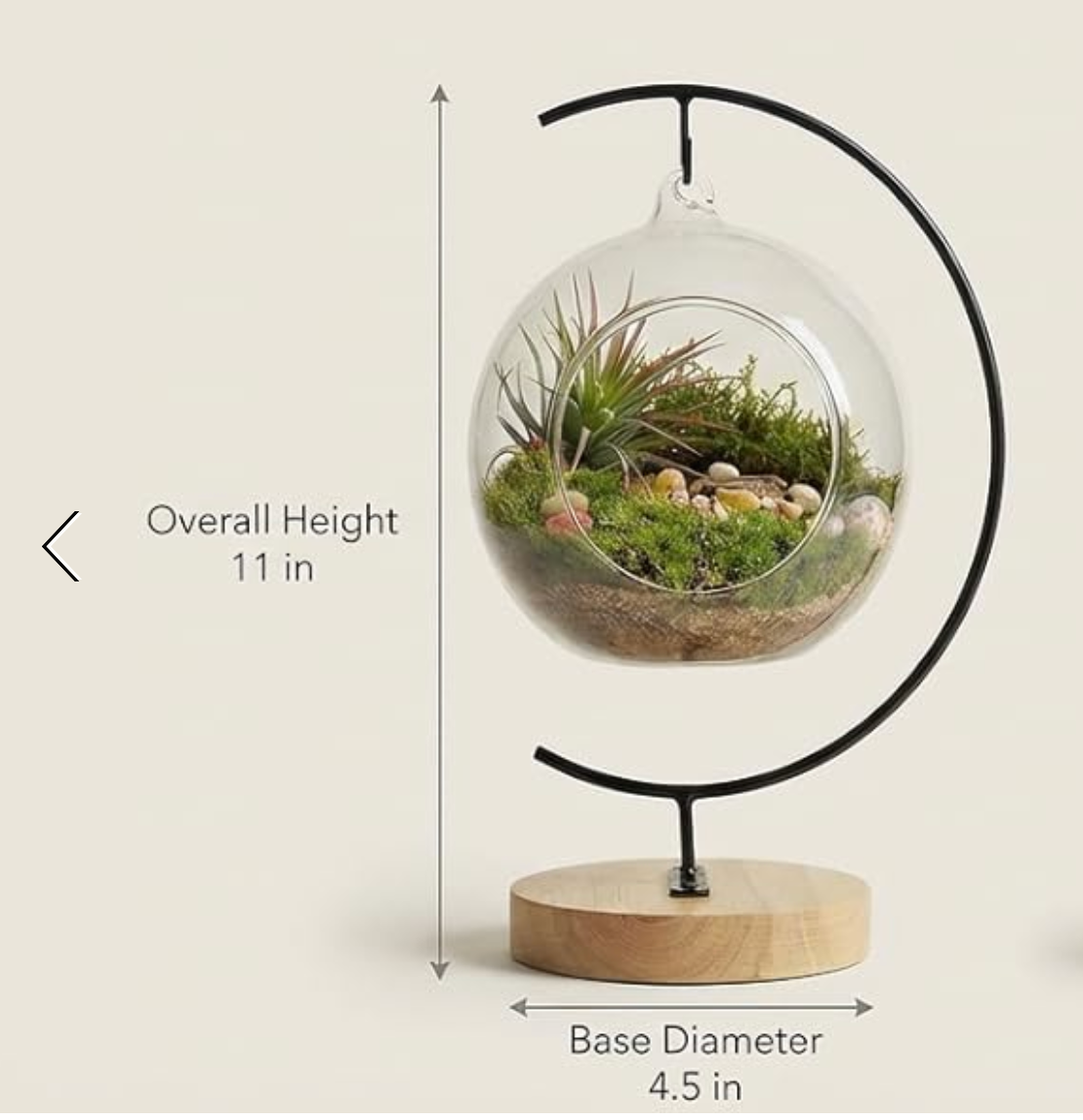 15-Piece Terrarium Kit with Live Moss – DIY Glass Globe Set with Tools, Soil, Stones & Spray Bottle – Indoor Mini Garden Gift for Plant Lovers, Home Decor & Zen Craft