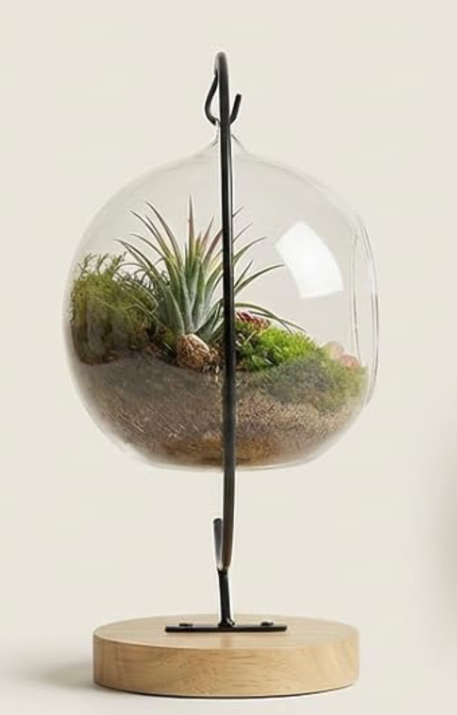 15-Piece Terrarium Kit with Live Moss – DIY Glass Globe Set with Tools, Soil, Stones & Spray Bottle – Indoor Mini Garden Gift for Plant Lovers, Home Decor & Zen Craft