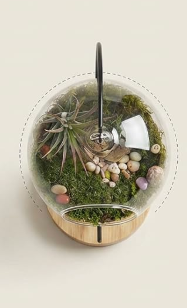 15-Piece Terrarium Kit with Live Moss – DIY Glass Globe Set with Tools, Soil, Stones & Spray Bottle – Indoor Mini Garden Gift for Plant Lovers, Home Decor & Zen Craft