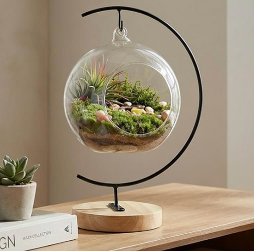 15-Piece Terrarium Kit with Live Moss – DIY Glass Globe Set with Tools, Soil, Stones & Spray Bottle – Indoor Mini Garden Gift for Plant Lovers, Home Decor & Zen Craft