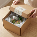 15-Piece Terrarium Kit with Live Moss – DIY Glass Globe Set with Tools, Soil, Stones & Spray Bottle – Indoor Mini Garden Gift for Plant Lovers, Home Decor & Zen Craft