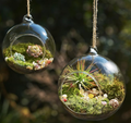 15-Piece Terrarium Kit with Live Moss – DIY Glass Globe Set with Tools, Soil, Stones & Spray Bottle – Indoor Mini Garden Gift for Plant Lovers, Home Decor & Zen Craft