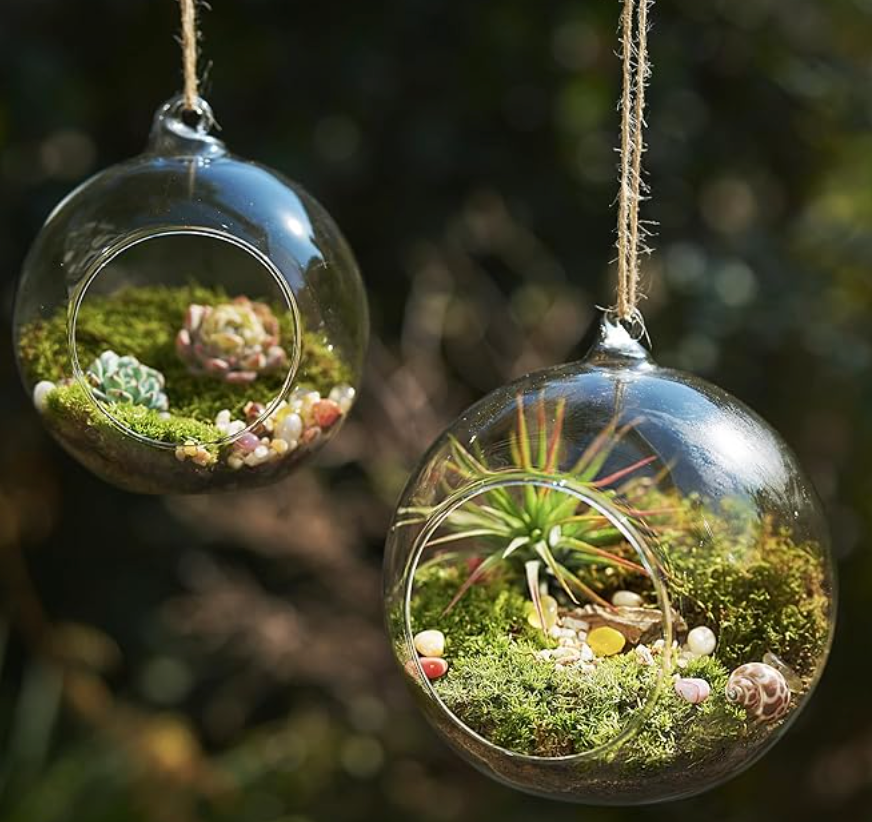 15-Piece Terrarium Kit with Live Moss – DIY Glass Globe Set with Tools, Soil, Stones & Spray Bottle – Indoor Mini Garden Gift for Plant Lovers, Home Decor & Zen Craft
