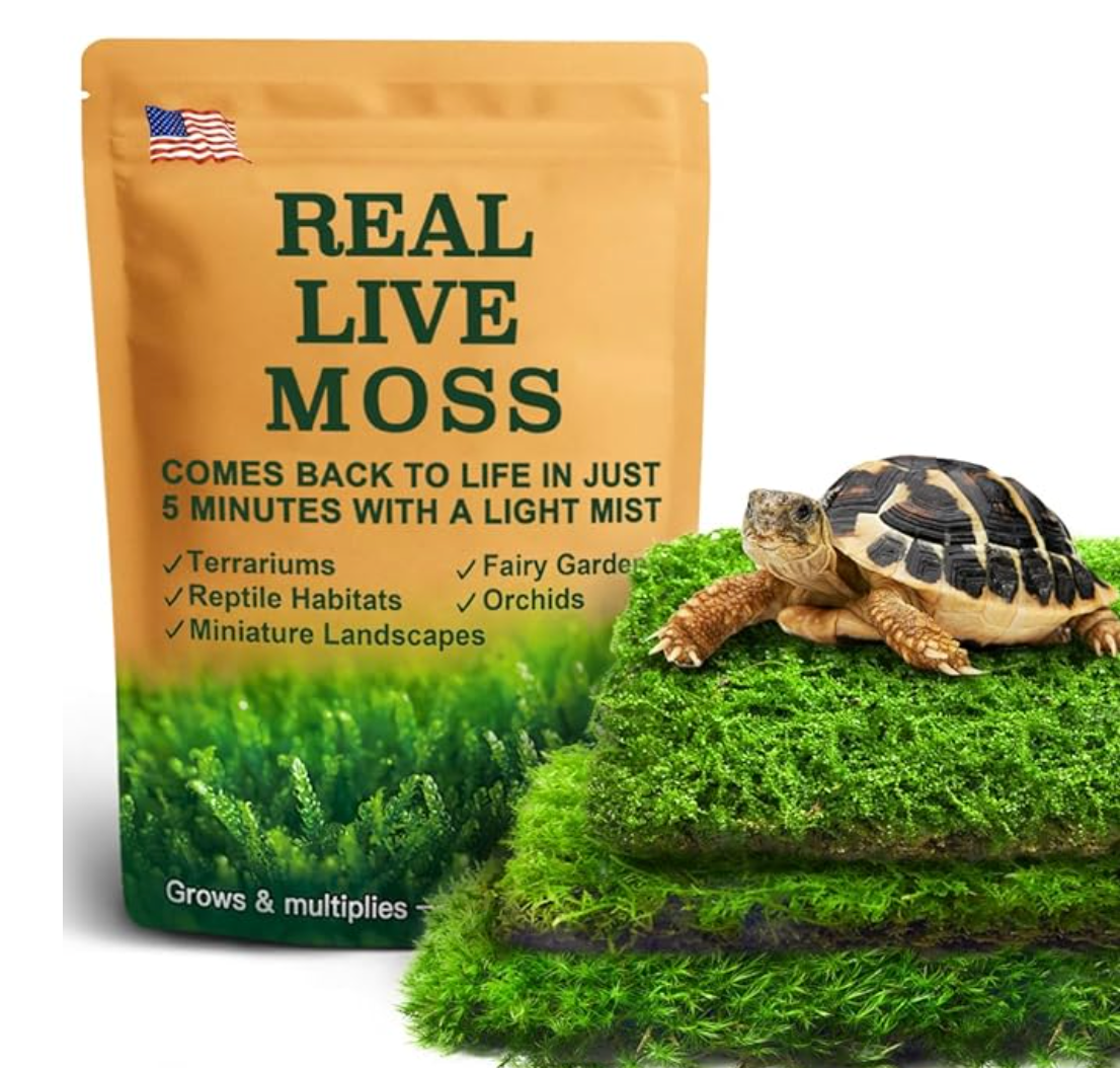 Live Moss Variety Pack for Reptiles– 3-Pack Mixed Real Terrarium Mosses (Each 3.5" x 7") – Live Sheet/Sphagnum Moss for Snake Gecko Turtle Frog Habitats, DIY Plant Décor – Fresh Reptiles Substrate