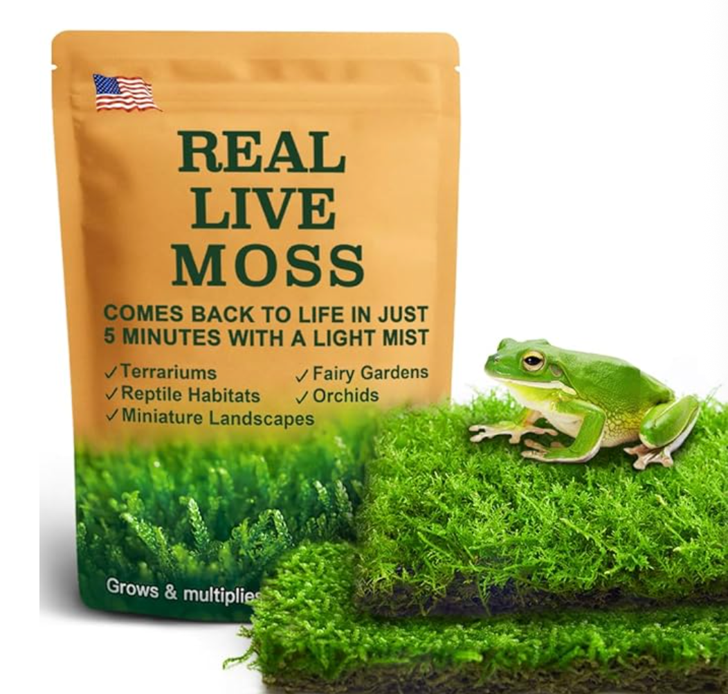 Live Moss Duo Pack 2 Types of Real Live Sheet/Sphagnum Moss for Terrariums, Terrarium Mosses Landscaping, Reptile Tank Accessories, Snake & Gecko Humidity Substrate Mosses for Crafts & Plant Décor